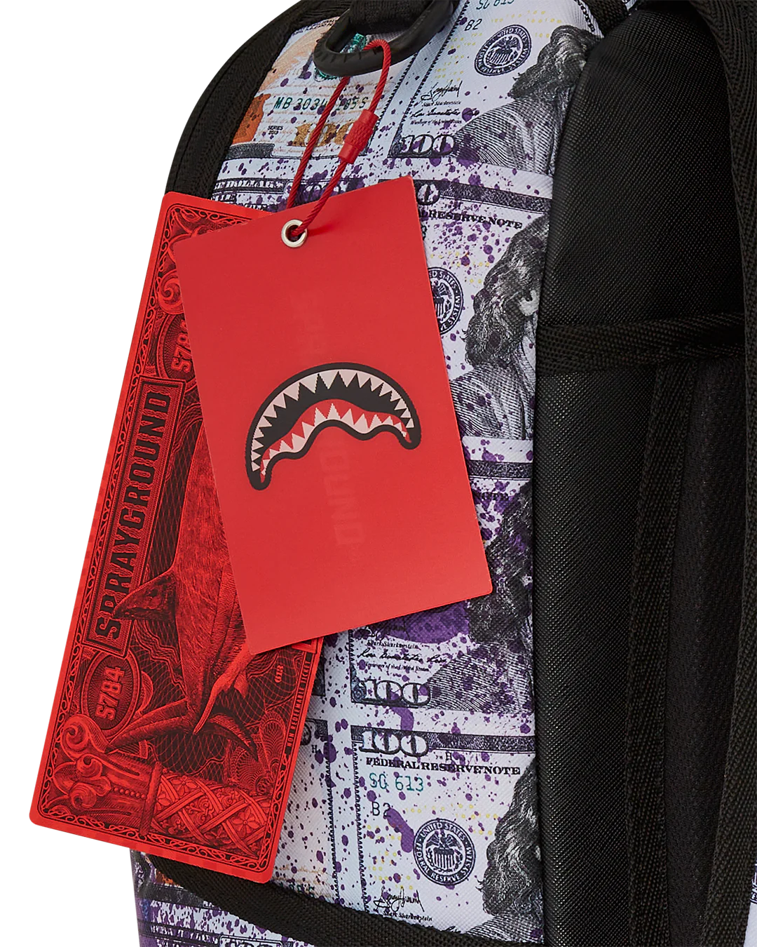 BILLIONS IN THE BANK BACKPACK