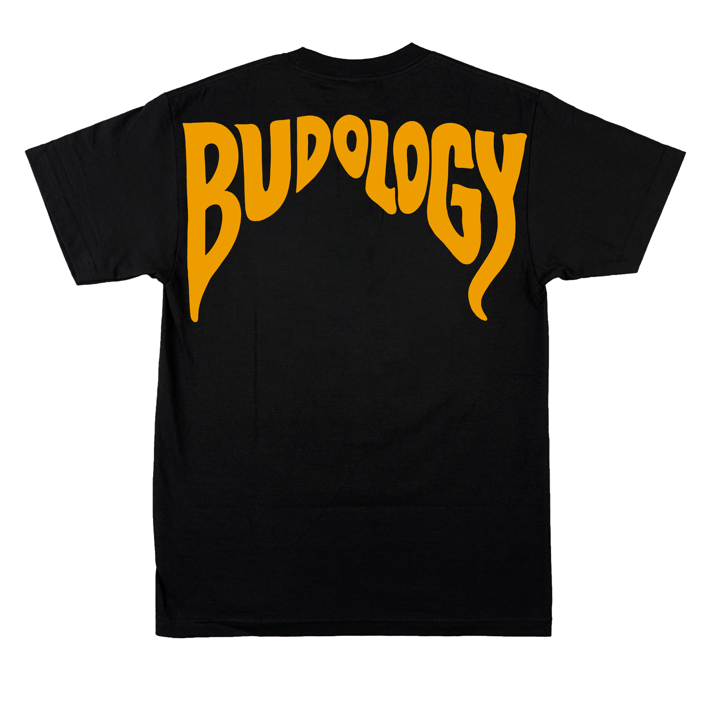 💀🍄🔮 Product Title:  Mushroom Skull – Growth After Death Tee