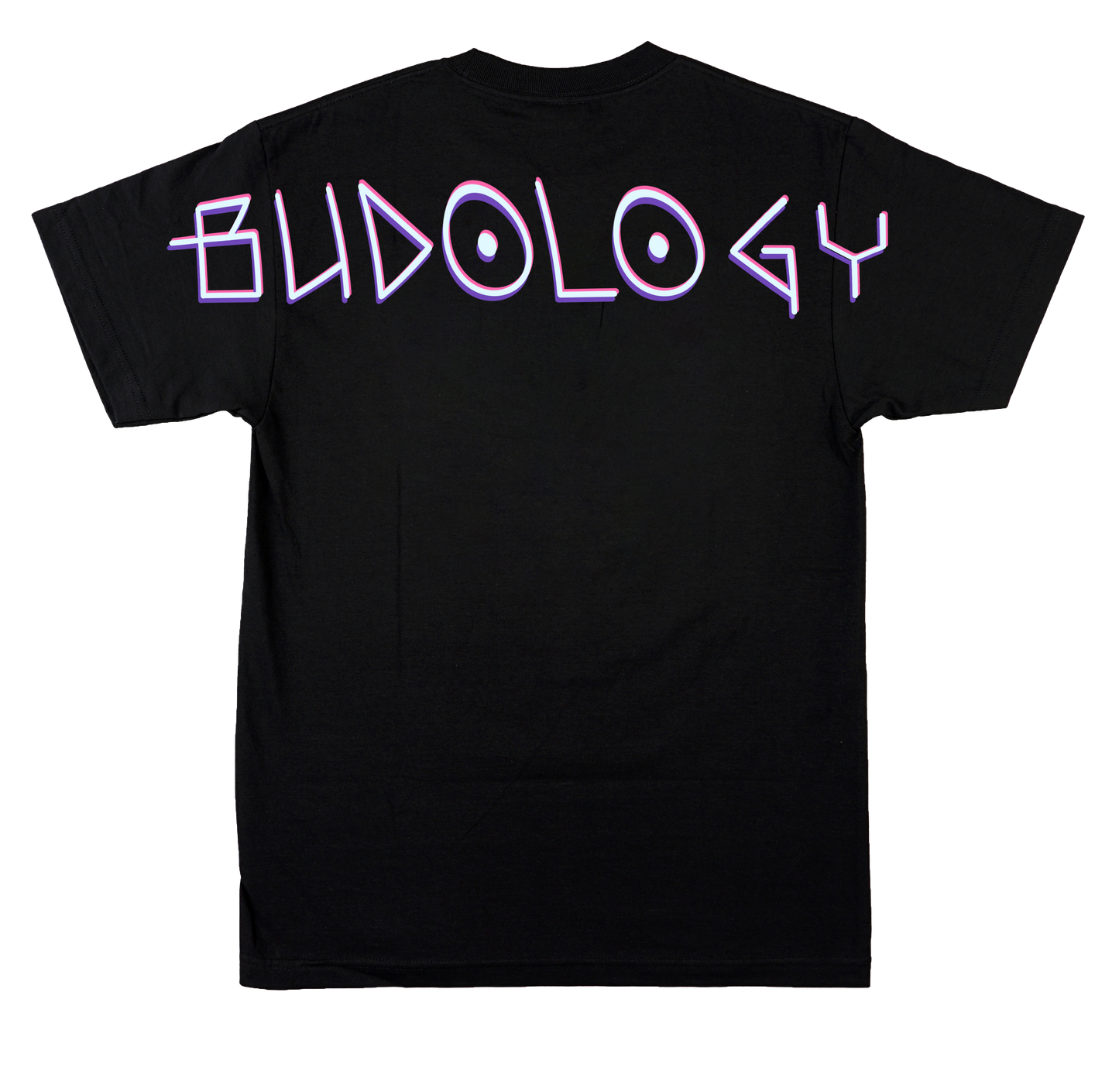 👽🌍🌿 Product Title:  Space Courier – Healer From the Stars Tee